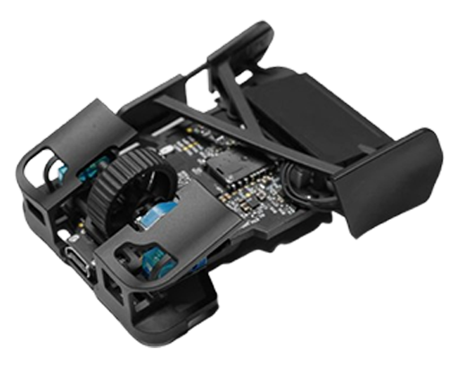 Mouse Image